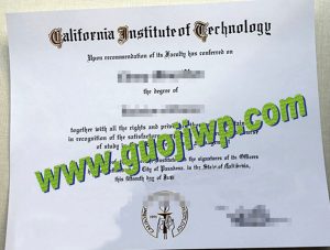 fake California Institute of Technology diploma