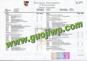 buy National University of Singapore fake transcript