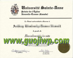 fake Université Sainte-Anne degree certificate