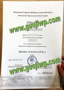 fake University of Bonn diploma