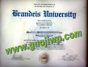Brandeis University diploma