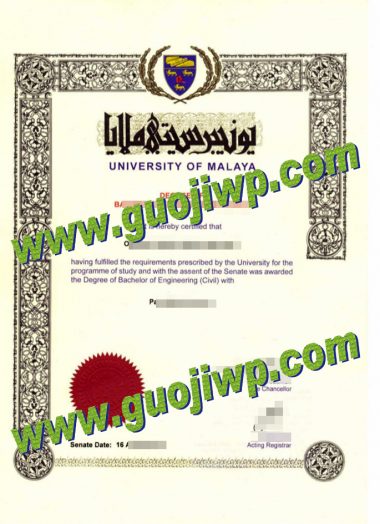 buy University of Malaya fake diploma