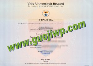 buy VUB fake degree certificate