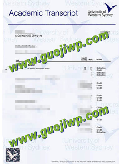 University of Western Sydney fake transcript