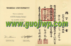 Waseda University fake diploma