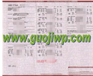 Buy a fake Wilmington University transcript in online