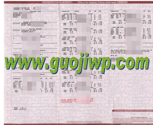 Wilmington University fake transcript