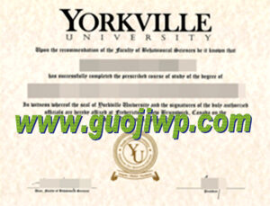 Yorkville University fake diploma