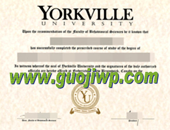 Yorkville University fake diploma